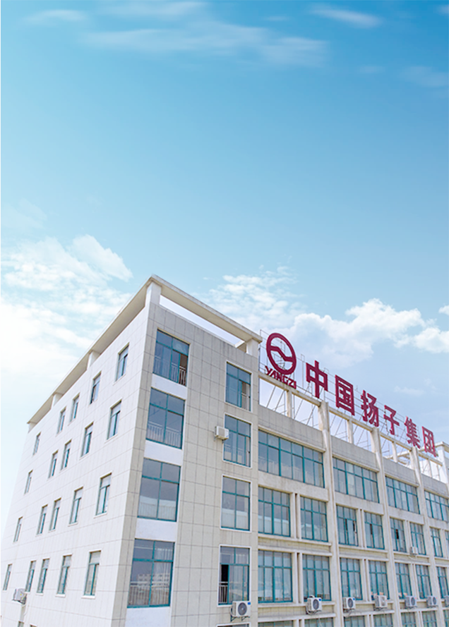 中国扬子集团